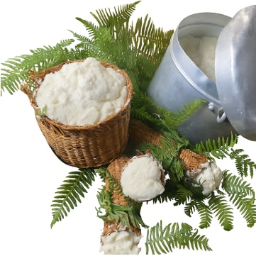 Ricotta fresca